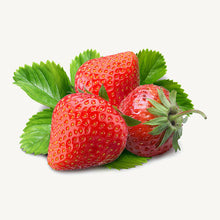 Load image into Gallery viewer, Vivamus fringilla