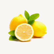 Load image into Gallery viewer, Vivamus fringilla