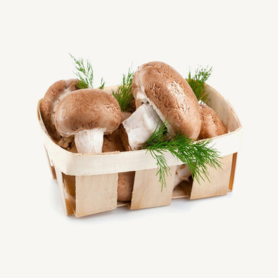 canonical adaptations